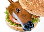 Click image for larger version

Name:	horse-hamburger.jpg
Views:	30
Size:	55.2 KB
ID:	105148