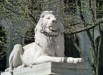 Click image for larger version

Name:	NYC Public Library_Lion_April2013.jpg
Views:	194
Size:	150.4 KB
ID:	105447