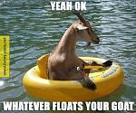 Click image for larger version

Name:	yeah-okay-whatever-floats-your-goat.jpg
Views:	967
Size:	57.5 KB
ID:	112799