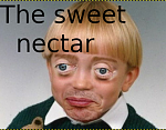 Click image for larger version

Name:	nectar.png
Views:	39
Size:	154.1 KB
ID:	119104