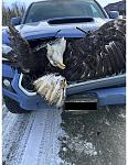 Click image for larger version

Name:	2024 03.07 Eagle Accident.jpg
Views:	877
Size:	101.9 KB
ID:	127237