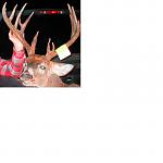 Click image for larger version

Name:	yhwbuck2.jpg
Views:	447
Size:	29.9 KB
ID:	34865