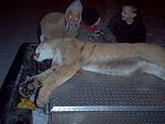 Click image for larger version

Name:	Mountainlion.JPG
Views:	306
Size:	65.7 KB
ID:	39983