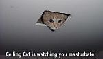 Click image for larger version

Name:	ceilingcat.jpg
Views:	70
Size:	29.5 KB
ID:	59992