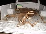 Click image for larger version

Name:	buck1.jpg
Views:	359
Size:	48.5 KB
ID:	82895