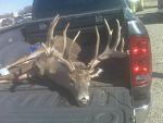 Click image for larger version

Name:	nice buck.jpg
Views:	375
Size:	49.9 KB
ID:	90323