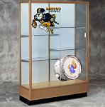 Click image for larger version

Name:	mizzoutrophycase.JPG
Views:	114
Size:	44.9 KB
ID:	99419