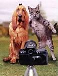 Click image for larger version

Name:	catdogpicture.jpg
Views:	40
Size:	20.2 KB
ID:	51782