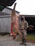 Click image for larger version

Name:	boar.jpg
Views:	314
Size:	74.2 KB
ID:	89823