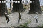 Click image for larger version

Name:	funny-pictures-secret-squirrels.jpg
Views:	116
Size:	37.6 KB
ID:	99330