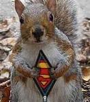 Click image for larger version

Name:	Squirrel.jpg
Views:	59
Size:	12.0 KB
ID:	102657