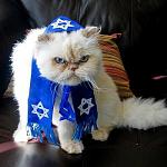 Click image for larger version

Name:	Chanuka Cat.jpg
Views:	65
Size:	36.2 KB
ID:	102963