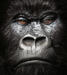 Alton deFlat's Avatar