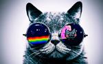 ShortRoundChief's Avatar
