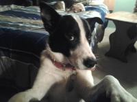 stumppy's Profile Picture
