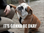 Click image for larger version

Name:	its-gonna-be-okay-14-hilarious-english-bulldog-memes-will-54383914.png
Views:	446
Size:	324.1 KB
ID:	119723