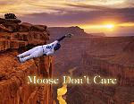 Click image for larger version

Name:	moosedontcare.jpg
Views:	69
Size:	52.3 KB
ID:	122746