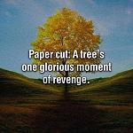 Click image for larger version

Name:	trees revenge meme.jpg
Views:	146
Size:	61.7 KB
ID:	125433
