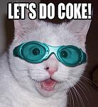 Click image for larger version

Name:	cat-docoke.jpg
Views:	257
Size:	28.1 KB
ID:	69187