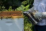 Click image for larger version

Name:	honey extraction-11.jpg
Views:	354
Size:	77.6 KB
ID:	116859