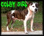 Click image for larger version

Name:	colby_girl.jpeg
Views:	138
Size:	63.6 KB
ID:	33527