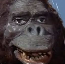 Sassy Squatch's Avatar