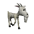 Infidel Goat's Avatar