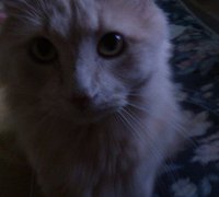 MadMax's Profile Picture